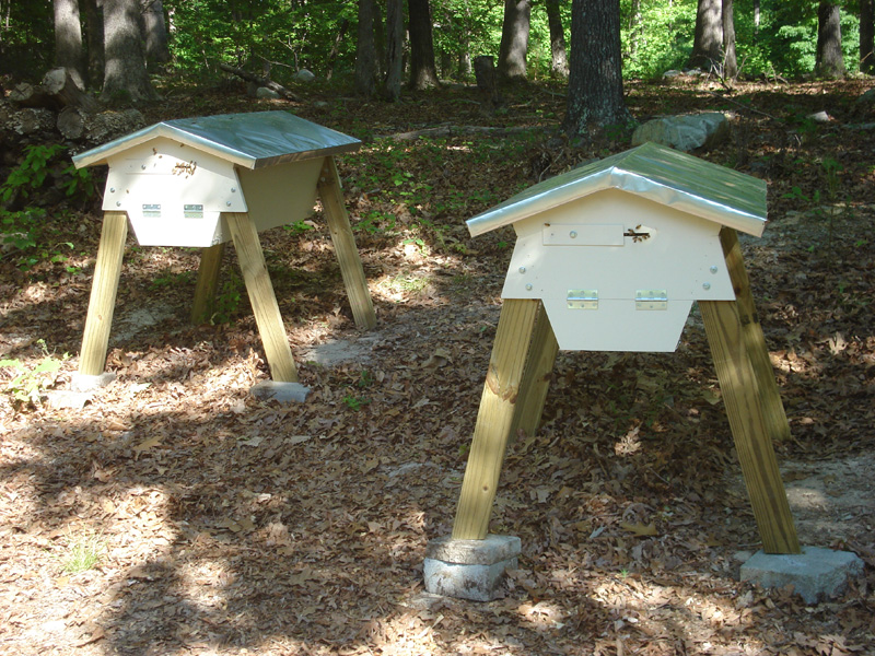 Top-Bar Bees  Beekeeping in Top-bar Hives